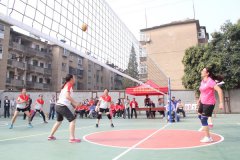 <b>我校男女教工排球队在市教育局比赛中双双折桂</b>